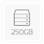 250 GB 2.5" SSD (Seq. Read: 560 MB/s, Write: 530 MB/s)