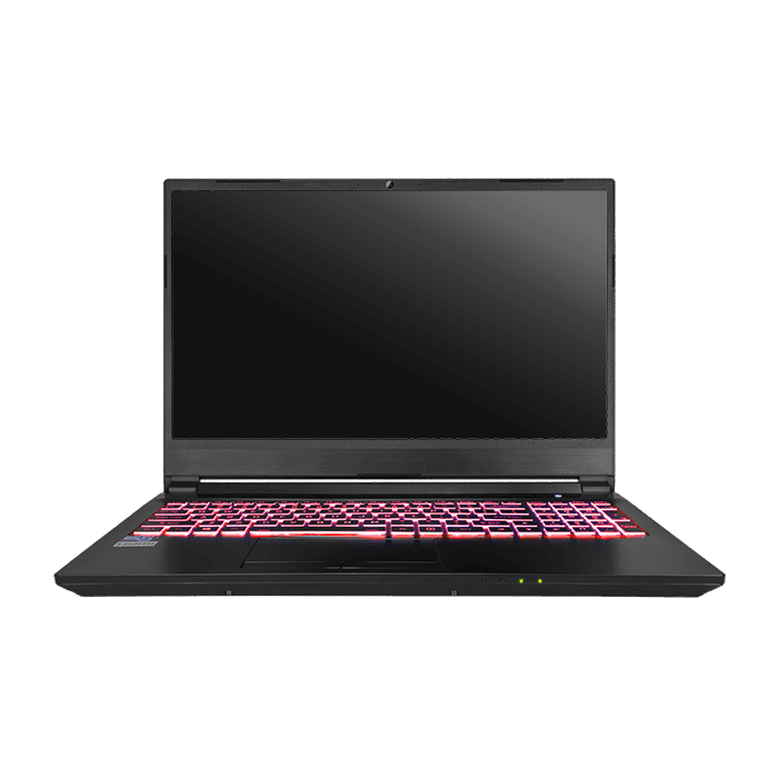 Clevo NH55RGQ Mx250 Linux Laptop