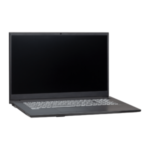 Clevo NJ70MU Ubuntu Linux Laptop