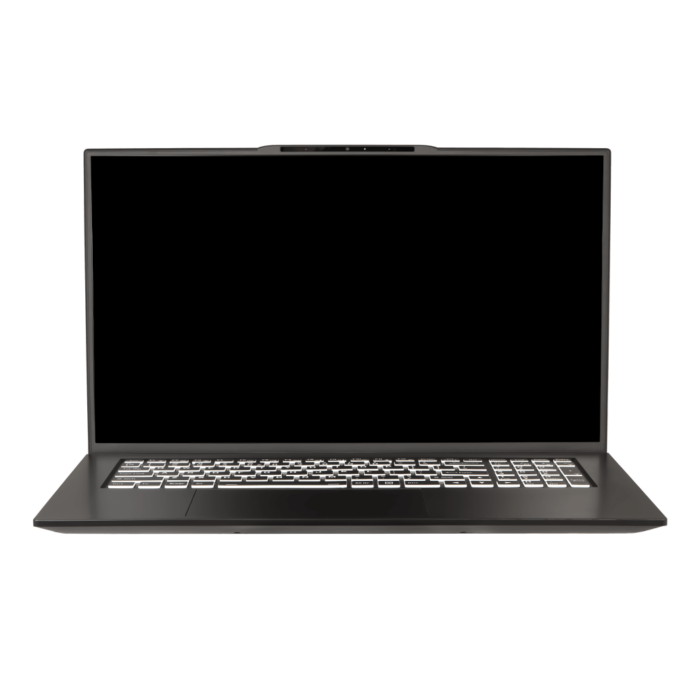 Clevo NS70AU Laptop