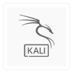 Kali Linux 2025 (64-bit)